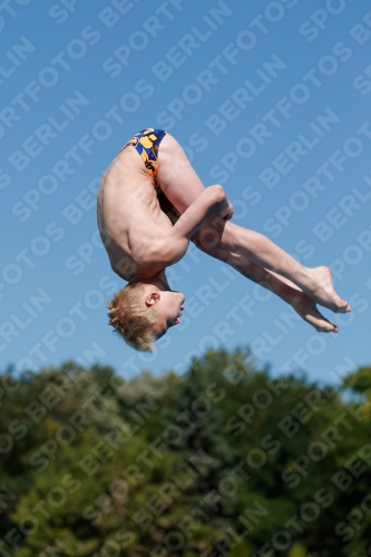 2017 - 8. Sofia Diving Cup 2017 - 8. Sofia Diving Cup 03012_24903.jpg