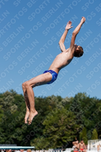 2017 - 8. Sofia Diving Cup 2017 - 8. Sofia Diving Cup 03012_24957.jpg