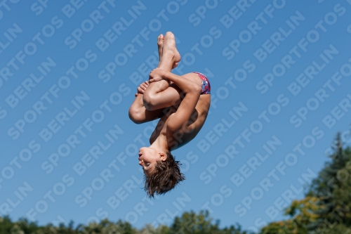 2017 - 8. Sofia Diving Cup 2017 - 8. Sofia Diving Cup 03012_24973.jpg