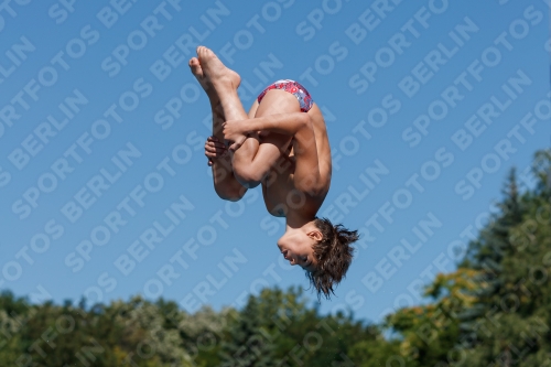 2017 - 8. Sofia Diving Cup 2017 - 8. Sofia Diving Cup 03012_24974.jpg