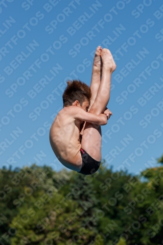 2017 - 8. Sofia Diving Cup 2017 - 8. Sofia Diving Cup 03012_25027.jpg