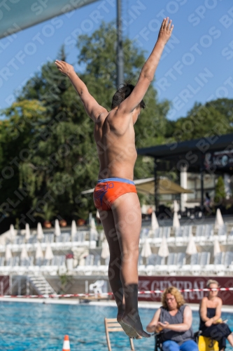 2017 - 8. Sofia Diving Cup 2017 - 8. Sofia Diving Cup 03012_25038.jpg