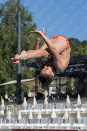 2017 - 8. Sofia Diving Cup 2017 - 8. Sofia Diving Cup 03012_25039.jpg