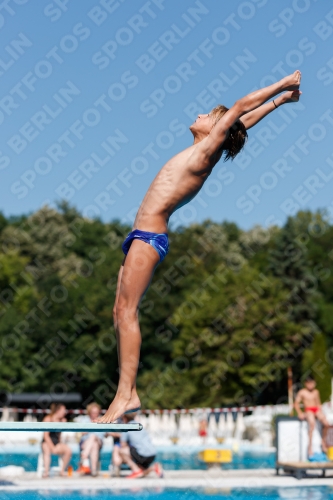 2017 - 8. Sofia Diving Cup 2017 - 8. Sofia Diving Cup 03012_25043.jpg