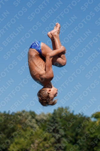 2017 - 8. Sofia Diving Cup 2017 - 8. Sofia Diving Cup 03012_25048.jpg