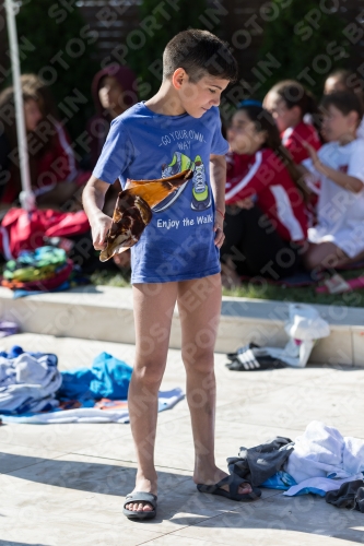 2017 - 8. Sofia Diving Cup 2017 - 8. Sofia Diving Cup 03012_25055.jpg