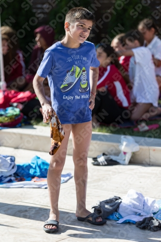 2017 - 8. Sofia Diving Cup 2017 - 8. Sofia Diving Cup 03012_25056.jpg