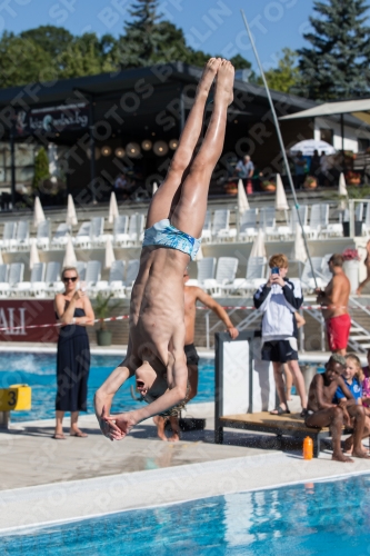 2017 - 8. Sofia Diving Cup 2017 - 8. Sofia Diving Cup 03012_25087.jpg