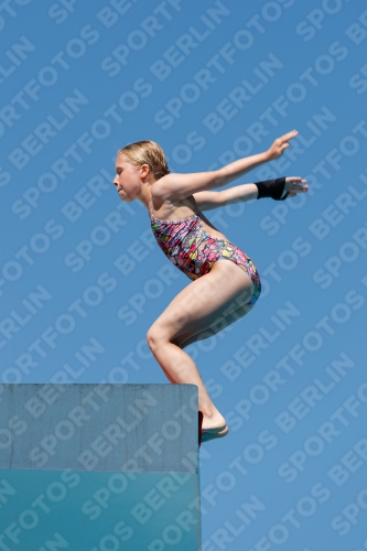 2017 - 8. Sofia Diving Cup 2017 - 8. Sofia Diving Cup 03012_25154.jpg