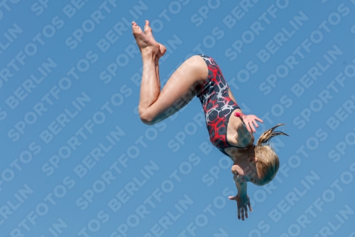 2017 - 8. Sofia Diving Cup 2017 - 8. Sofia Diving Cup 03012_25168.jpg