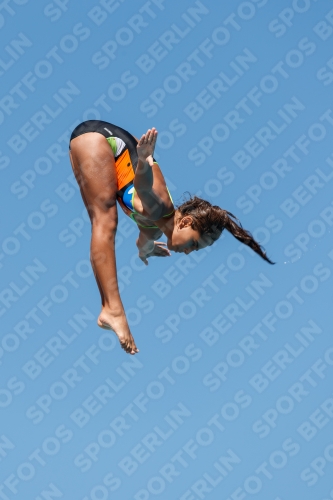 2017 - 8. Sofia Diving Cup 2017 - 8. Sofia Diving Cup 03012_25180.jpg