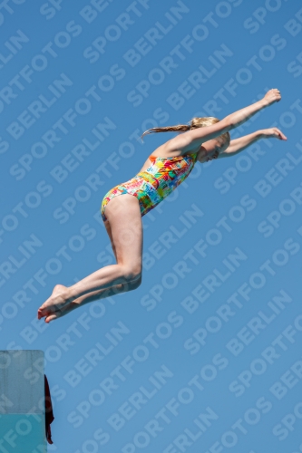 2017 - 8. Sofia Diving Cup 2017 - 8. Sofia Diving Cup 03012_25183.jpg