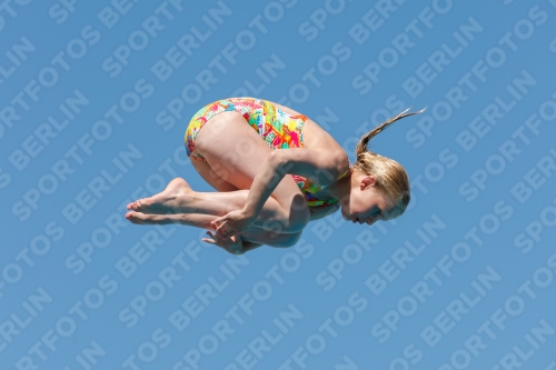 2017 - 8. Sofia Diving Cup 2017 - 8. Sofia Diving Cup 03012_25185.jpg