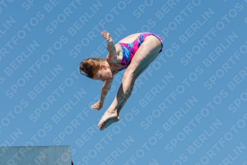 2017 - 8. Sofia Diving Cup 2017 - 8. Sofia Diving Cup 03012_25200.jpg