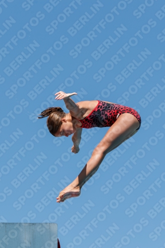 2017 - 8. Sofia Diving Cup 2017 - 8. Sofia Diving Cup 03012_25209.jpg