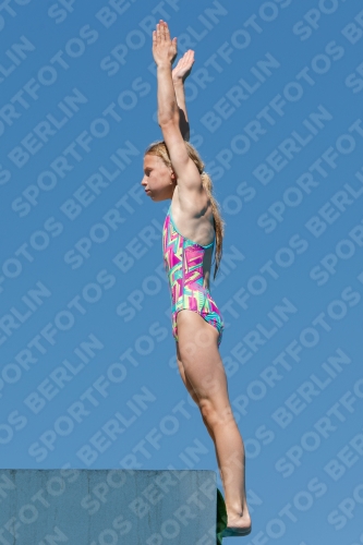 2017 - 8. Sofia Diving Cup 2017 - 8. Sofia Diving Cup 03012_25246.jpg