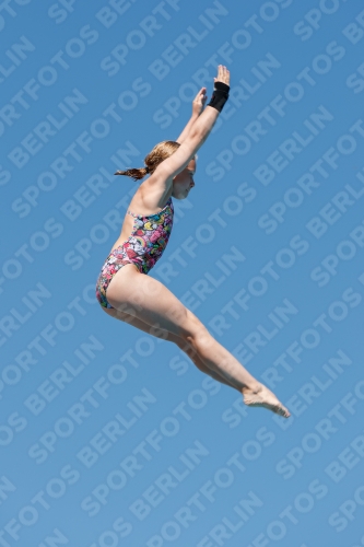 2017 - 8. Sofia Diving Cup 2017 - 8. Sofia Diving Cup 03012_25270.jpg