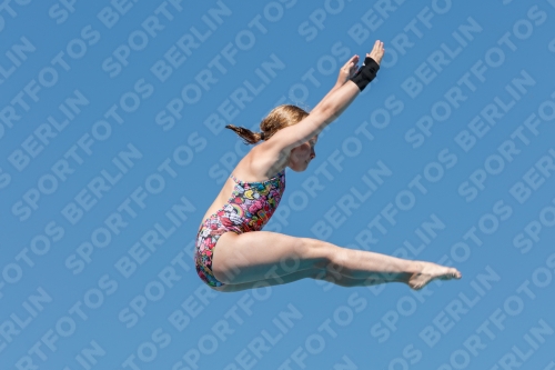 2017 - 8. Sofia Diving Cup 2017 - 8. Sofia Diving Cup 03012_25271.jpg