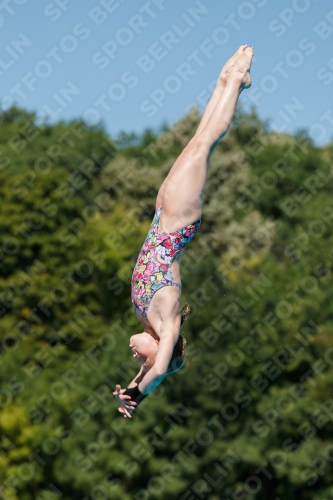 2017 - 8. Sofia Diving Cup 2017 - 8. Sofia Diving Cup 03012_25276.jpg