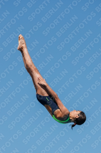 2017 - 8. Sofia Diving Cup 2017 - 8. Sofia Diving Cup 03012_25289.jpg