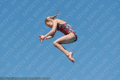 2017 - 8. Sofia Diving Cup 2017 - 8. Sofia Diving Cup 03012_25312.jpg