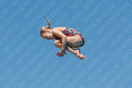 2017 - 8. Sofia Diving Cup 2017 - 8. Sofia Diving Cup 03012_25313.jpg