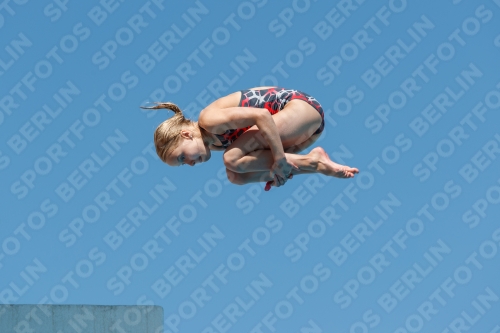 2017 - 8. Sofia Diving Cup 2017 - 8. Sofia Diving Cup 03012_25314.jpg