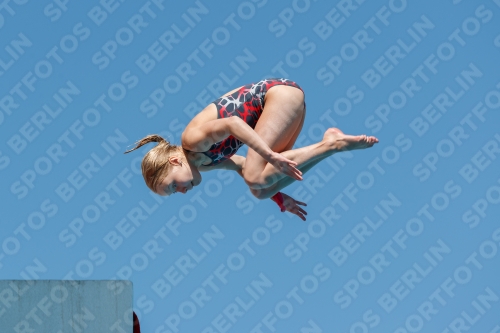 2017 - 8. Sofia Diving Cup 2017 - 8. Sofia Diving Cup 03012_25315.jpg