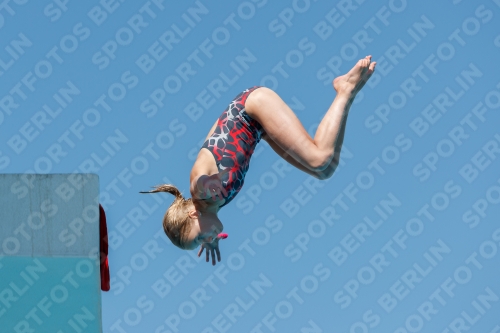 2017 - 8. Sofia Diving Cup 2017 - 8. Sofia Diving Cup 03012_25317.jpg