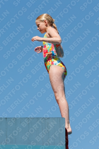 2017 - 8. Sofia Diving Cup 2017 - 8. Sofia Diving Cup 03012_25330.jpg