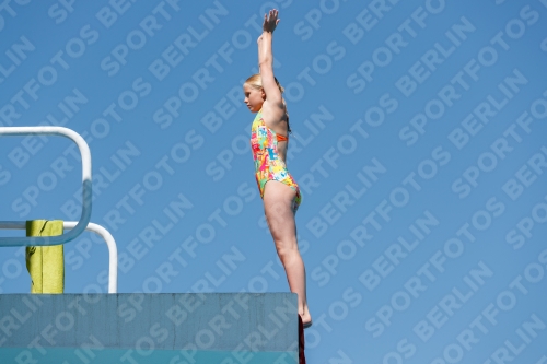 2017 - 8. Sofia Diving Cup 2017 - 8. Sofia Diving Cup 03012_25331.jpg