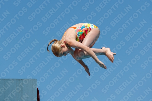 2017 - 8. Sofia Diving Cup 2017 - 8. Sofia Diving Cup 03012_25334.jpg
