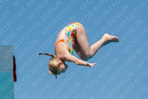 2017 - 8. Sofia Diving Cup 2017 - 8. Sofia Diving Cup 03012_25335.jpg