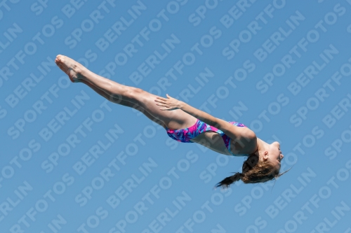 2017 - 8. Sofia Diving Cup 2017 - 8. Sofia Diving Cup 03012_25356.jpg