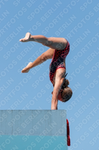2017 - 8. Sofia Diving Cup 2017 - 8. Sofia Diving Cup 03012_25360.jpg
