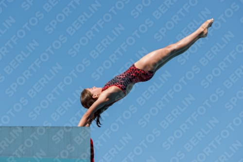 2017 - 8. Sofia Diving Cup 2017 - 8. Sofia Diving Cup 03012_25363.jpg