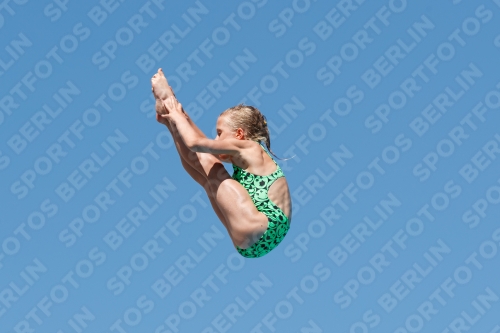 2017 - 8. Sofia Diving Cup 2017 - 8. Sofia Diving Cup 03012_25373.jpg