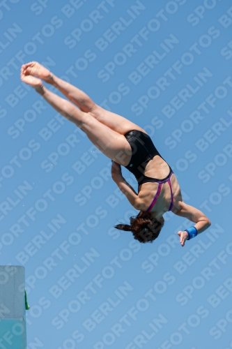 2017 - 8. Sofia Diving Cup 2017 - 8. Sofia Diving Cup 03012_25383.jpg