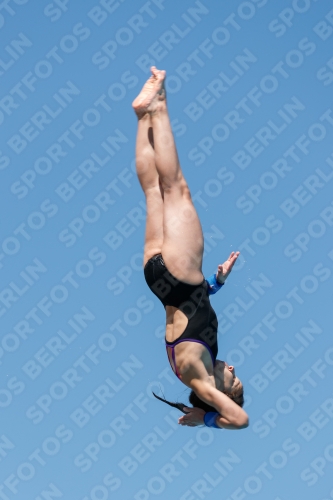 2017 - 8. Sofia Diving Cup 2017 - 8. Sofia Diving Cup 03012_25384.jpg