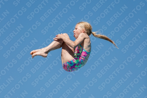 2017 - 8. Sofia Diving Cup 2017 - 8. Sofia Diving Cup 03012_25398.jpg
