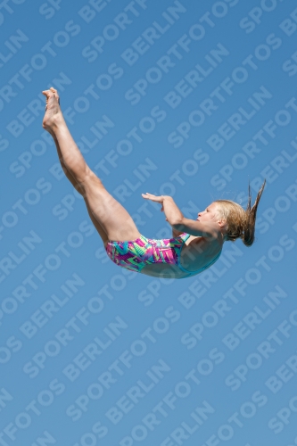 2017 - 8. Sofia Diving Cup 2017 - 8. Sofia Diving Cup 03012_25400.jpg