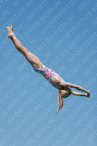 2017 - 8. Sofia Diving Cup 2017 - 8. Sofia Diving Cup 03012_25401.jpg