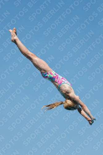2017 - 8. Sofia Diving Cup 2017 - 8. Sofia Diving Cup 03012_25402.jpg