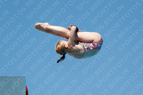 2017 - 8. Sofia Diving Cup 2017 - 8. Sofia Diving Cup 03012_25422.jpg