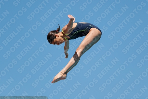 2017 - 8. Sofia Diving Cup 2017 - 8. Sofia Diving Cup 03012_25428.jpg