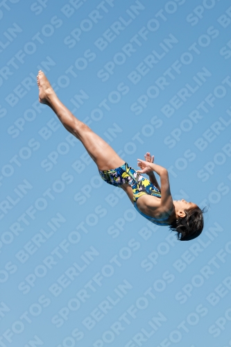 2017 - 8. Sofia Diving Cup 2017 - 8. Sofia Diving Cup 03012_25454.jpg