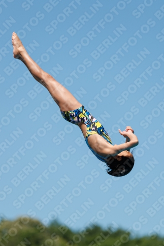 2017 - 8. Sofia Diving Cup 2017 - 8. Sofia Diving Cup 03012_25455.jpg