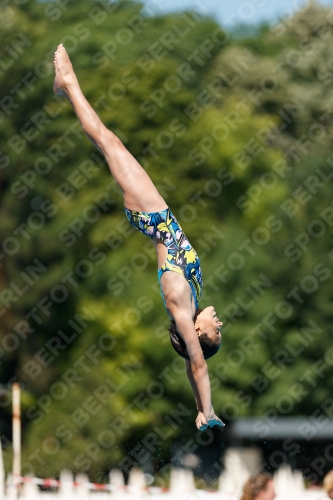 2017 - 8. Sofia Diving Cup 2017 - 8. Sofia Diving Cup 03012_25456.jpg