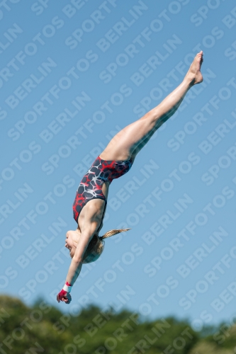 2017 - 8. Sofia Diving Cup 2017 - 8. Sofia Diving Cup 03012_25466.jpg