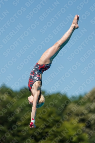 2017 - 8. Sofia Diving Cup 2017 - 8. Sofia Diving Cup 03012_25467.jpg